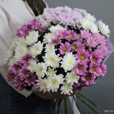 Лот: 12050503. Фото: 1. Монобукет из хризантем. Свежие цветы