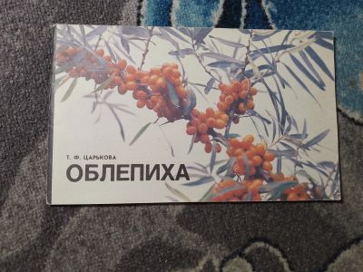 Лот: 24894608. Фото: 1. Царькова Облепиха Агропромиздат... Сад, огород, цветы