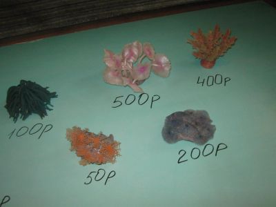 Лот: 3739844. Фото: 1. караллы. Грунты, украшения, наполнения