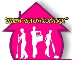 Лот: 3289631. Фото: 1. Продам Клининговый бизнес. Другое (готовый бизнес)