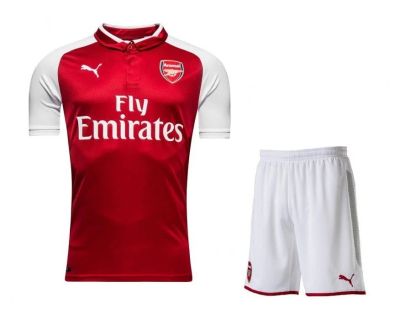 Лот: 11550091. Фото: 1. Футбольная форма Puma FC Arsenal... Форма