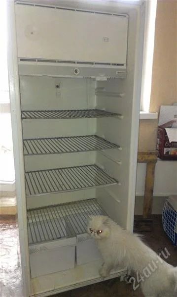 Лот: 1982586. Фото: 1. Холодильник Бирюса 6. Холодильники, морозильные камеры