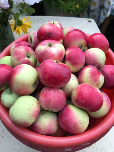 Лот: 5963191. Фото: 1. Яблочки, очень ароматные и вкусные... Овощи, фрукты, зелень