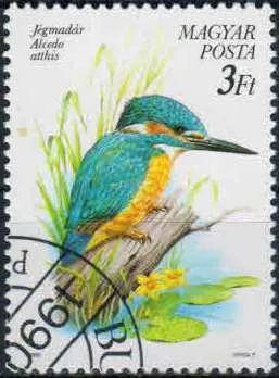 Лот: 21421474. Фото: 1. 1990. Венгрия. Охраняемые птицы... Марки