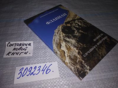 Лот: 24878829. Фото: 1. oz (3092346)Протоиерей Александр... Религия, оккультизм, эзотерика