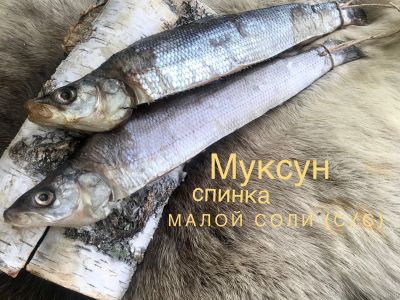 Лот: 14323139. Фото: 1. Муксун слабосоленый. Икра, рыба, морепродукты