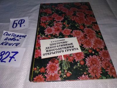 Лот: 12708157. Фото: 1. Цветочно-декоративные многолетники... Сад, огород, цветы