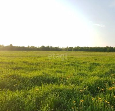 Лот: 25296738. Фото: 1. участок , деревня Верхняя Есауловка... Земельные участки