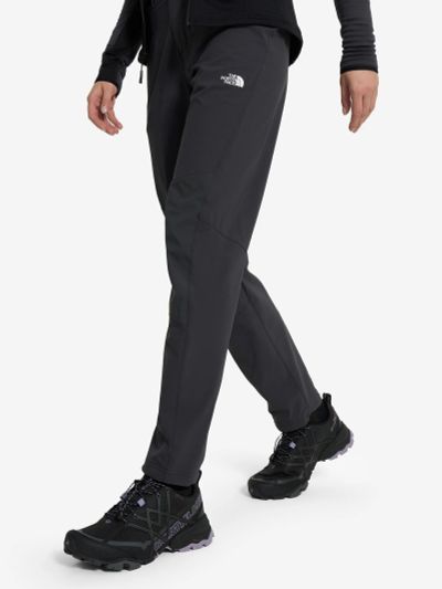 Лот: 25118927. Фото: 1. Брюки женские The North Face Speedlight... Спортивные брюки, штаны