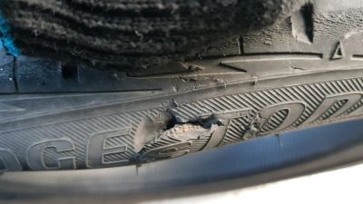 Лот: 12242749. Фото: 1. Bridgestone MY02. Шины