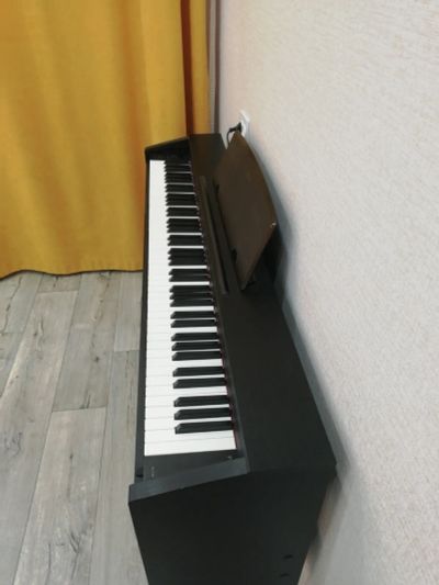Лот: 19923626. Фото: 1. Цифровое пианино casio privia... Клавишные