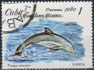 Лот: 19493430. Фото: 1. 1980 . Куба. Морские млекопитающие... Марки