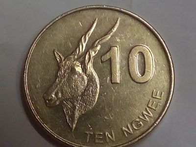 Лот: 16077463. Фото: 1. Монета Замбии 10 нгве, 2012. Африка