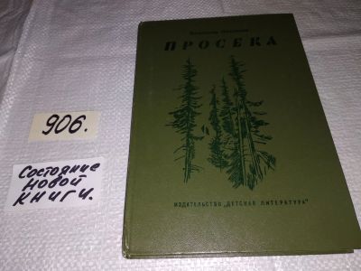 Лот: 16696490. Фото: 1. Ляленков В. Просека, Вторая книга... Художественная