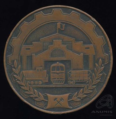 Лот: 24765307. Фото: 1. СССР Медаль Великолукский локомотиворемонтный... Другое (значки, медали, жетоны)