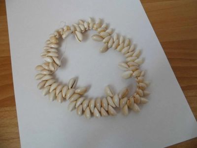 Лот: 7520186. Фото: 1. Ракушки для поделок (см. др. лоты... Грунты, украшения, наполнения