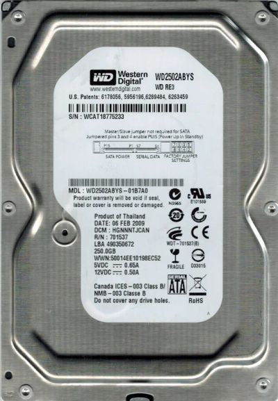 Лот: 3020824. Фото: 1. HDD 250GB Western Digital WD2502ABYS-01B7A0... Жёсткие диски (HDD)