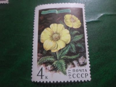 Лот: 18725337. Фото: 1. Марка для Вашей коллекции. №48025. Марки