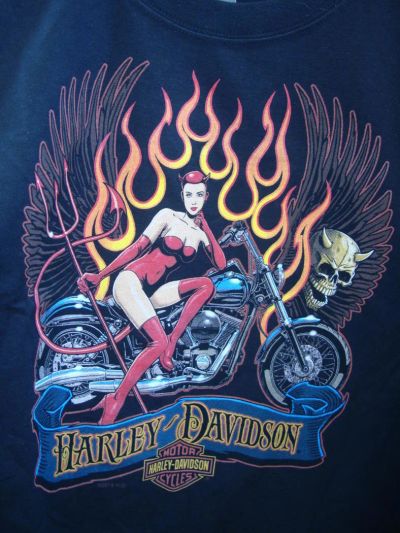 Лот: 11409231. Фото: 1. Байкерская мужская футболка Harley... Аксессуары