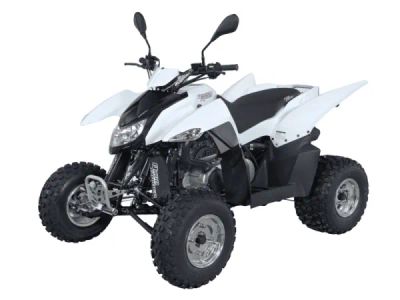 Лот: 25659228. Фото: 1. Квадроцикл SYM QuadRaider 300... Снегоходы, квадроциклы