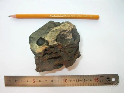 Лот: 831847. Фото: 1. Камень - так называемый "каменная... Минералы и окаменелости