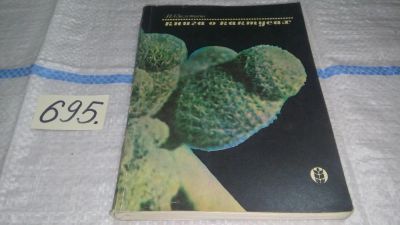 Лот: 11273600. Фото: 1. Книга о кактусах, Ирина Залетаева... Сад, огород, цветы