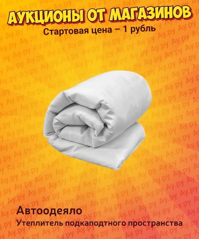 Лот: 24614335. Фото: 1. Автоодеяло. Автоодеяла и утеплители