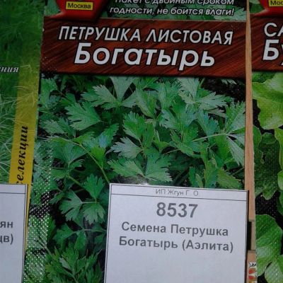 Лот: 9123068. Фото: 1. Семена / Кориандр / Янтарь / 3... Овощи