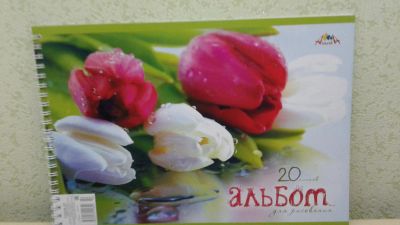 Лот: 7686036. Фото: 1. Альбом для рисования 20л спираль. Тетради, альбомы