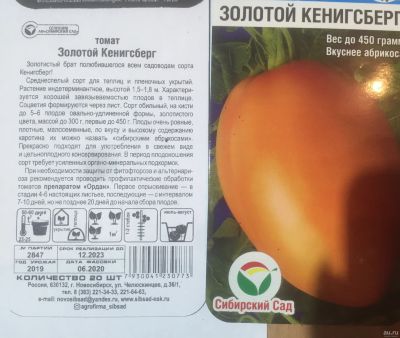 Лот: 17597097. Фото: 1. Рассада помидоров Золотой Кенигсберг. Овощи