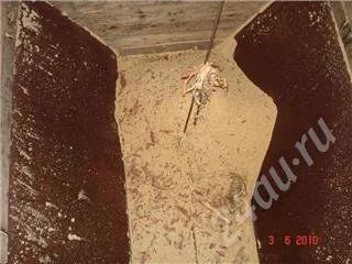 Лот: 382739. Фото: 1. Продам Опилки от Бревен. Другие (дрова, топливо)
