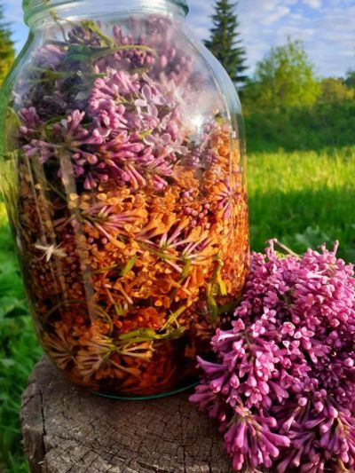 Лот: 16400162. Фото: 1. Настойка натирки из сирени для... Народная медицина, БАДы