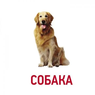 Лот: 5738979. Фото: 1. Карточки Домана. Развивающие