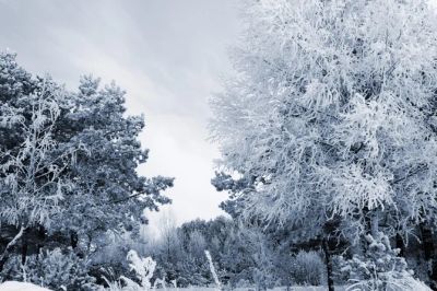 Лот: 4775220. Фото: 1. Участок земли ст. Минино. Земельные участки