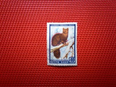 Лот: 12624241. Фото: 1. 1957, 26 марта — 6 декабря. Фауна... Марки