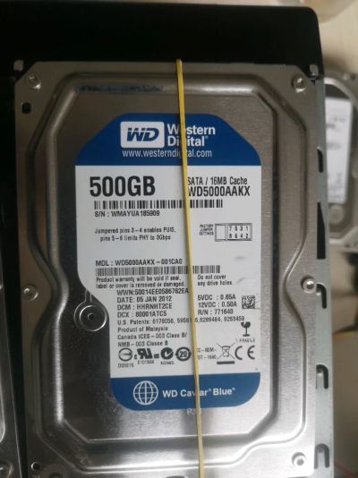 Лот: 23129988. Фото: 1. HDD SATA WD 500 Gb, 185909. Жёсткие диски (HDD)