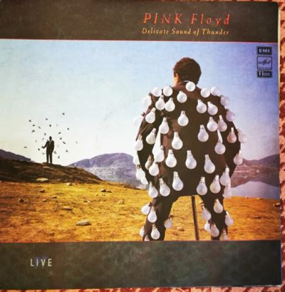 Лот: 17886101. Фото: 1. Виниловая пластиинка Pink Floyd... Аудиозаписи