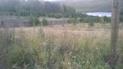 Лот: 6810302. Фото: 1. Земельный участок в Зыково ИЖС... Земельные участки