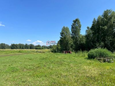 Лот: 23279675. Фото: 1. Сельхоз назначение, Новосибирская... Коммерческая недвижимость