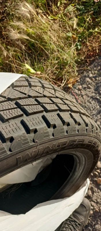 Лот: 24283643. Фото: 1. Tourador Winter Pro TSS1 215/55... Шины
