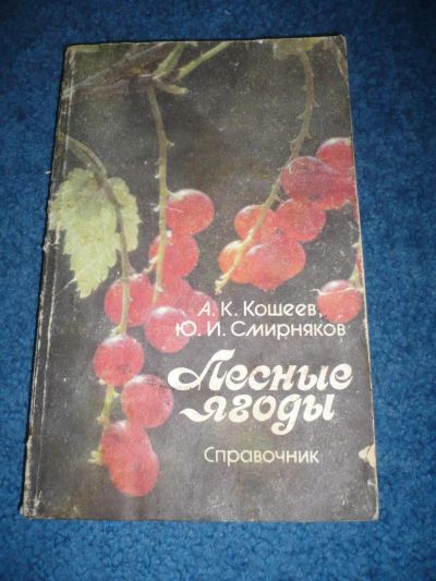 Лот: 7494900. Фото: 1. Книга А.К.Кошеев Ю.И.Смирняков... Справочники