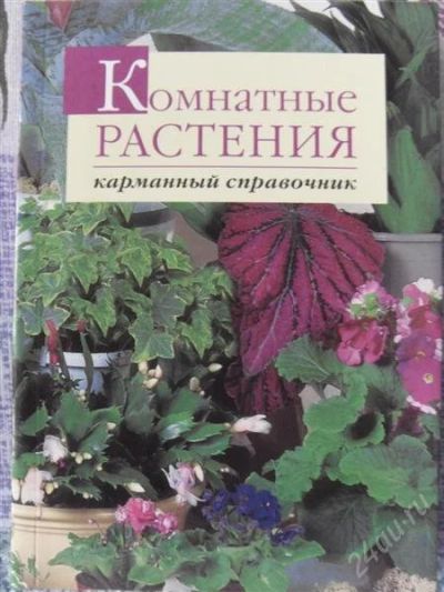 Лот: 1794573. Фото: 1. "Комнатные растения" карманный... Справочники