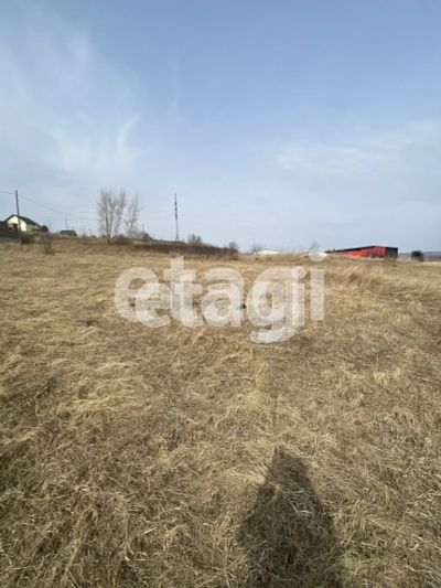 Лот: 25293081. Фото: 1. участок , садоводческое товарищество... Земельные участки