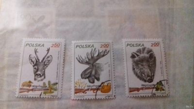 Лот: 13595363. Фото: 1. Марки Польша Звери 3 шт 1982. Марки