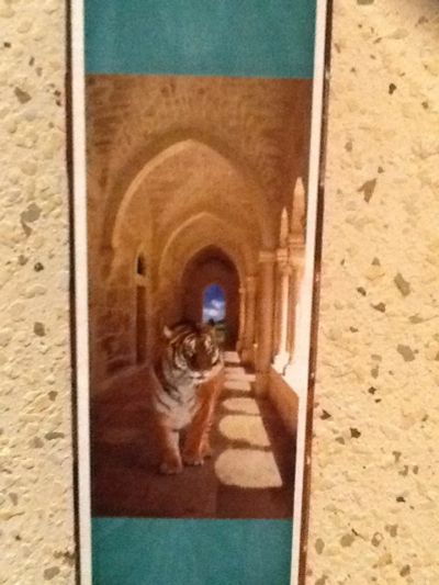 Лот: 4847623. Фото: 1. Фото обои. Другое (домашний быт)