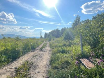 Лот: 19308271. Фото: 1. Погреб в Академгородке. Подвалы, погреба, кладовые