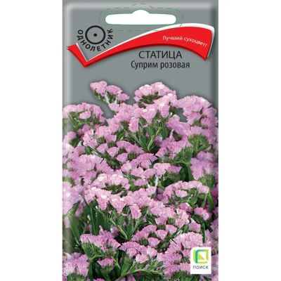 Лот: 24642625. Фото: 1. Семена Цветы, Статица, Суприм... Другое (семена, рассада, садовые растения)
