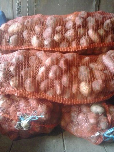 Лот: 4585682. Фото: 1. продам крупный, свежий картофель... Картофель