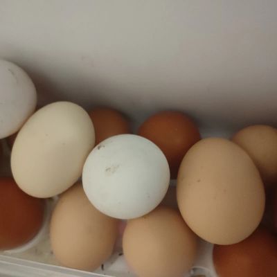 Лот: 20684711. Фото: 1. Яйца. Мясо, птица, яйцо