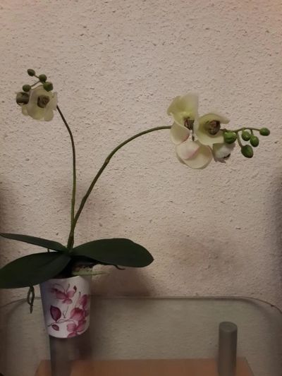 Лот: 4976248. Фото: 1. Орхидея искусственная в горшке. Горшечные растения и комнатные цветы